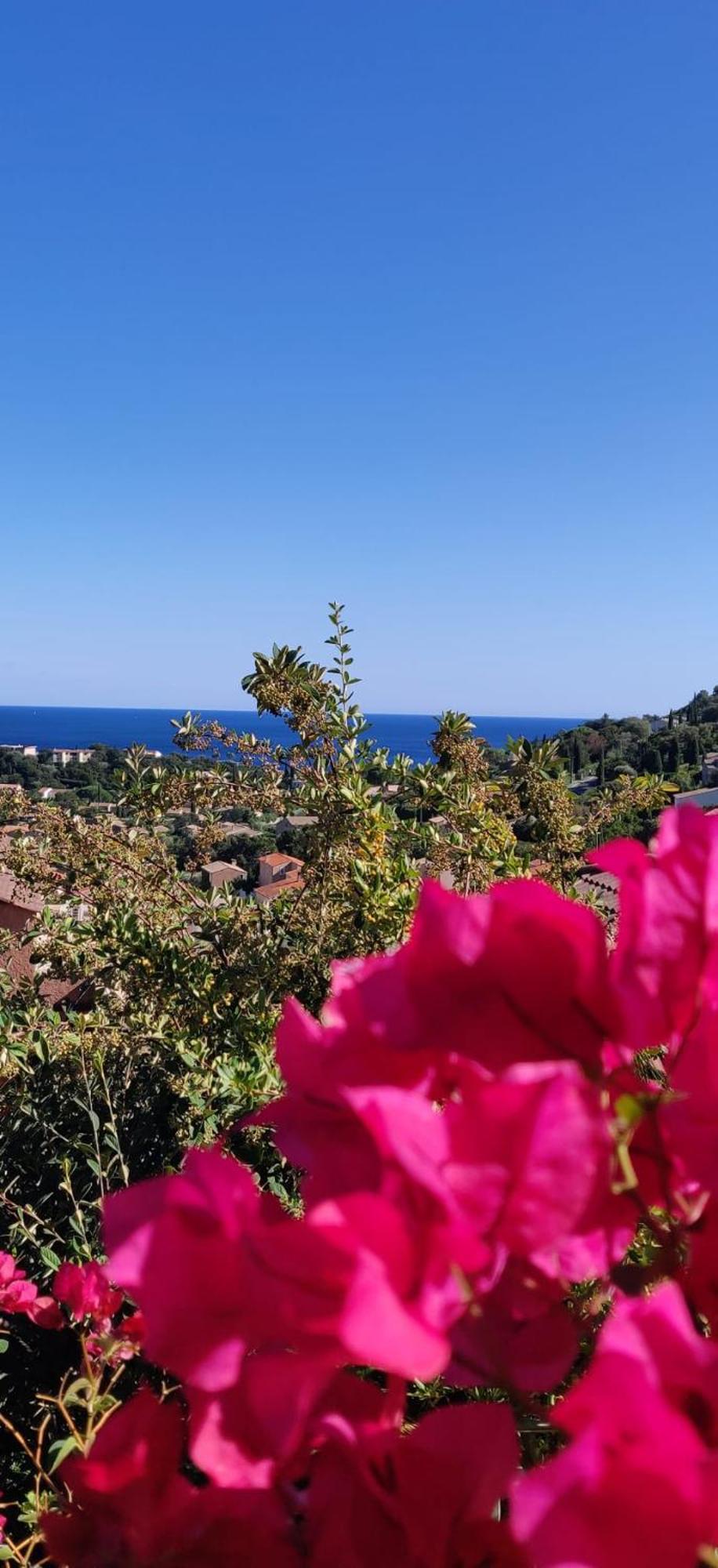 "Ti Sable" Agreable Studio Climatise, Jolie Vue Mer, Piscine A Cavalaire Sur Mer Golfe De St-Tropez 外观 照片
